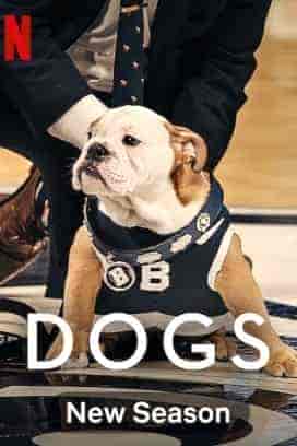 مسلسل Dogs الموسم الثاني الحلقة 2 الثانية مترجمة