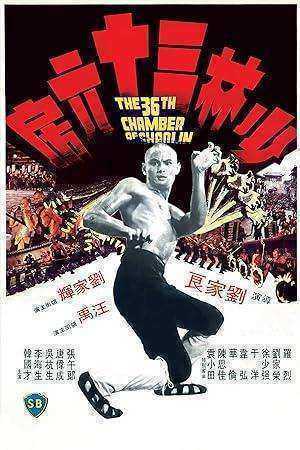 فيلم The 36th Chamber of Shaolin مترجم