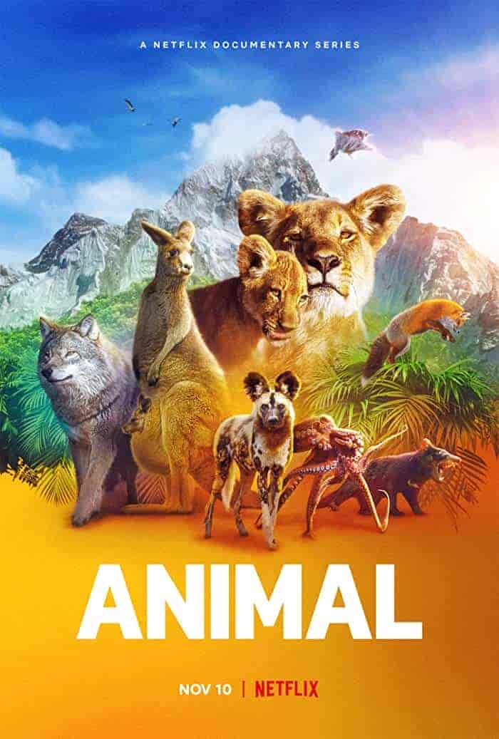 مسلسل Animal الموسم الثاني مترجم