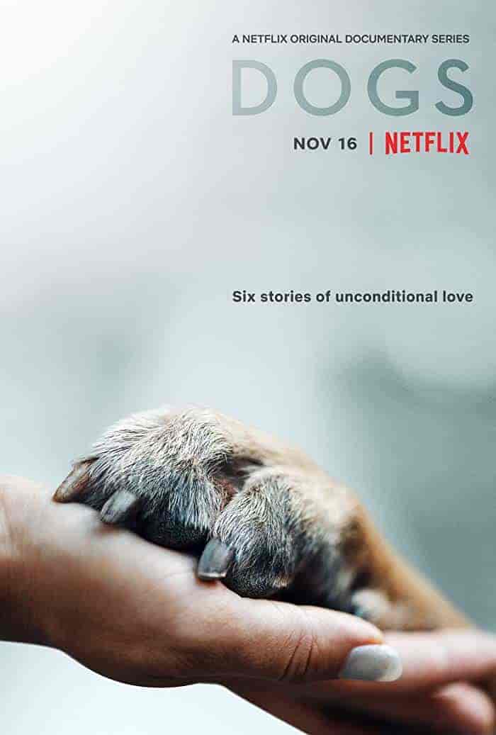 مسلسل Dogs الموسم الاول الحلقة 2 الثانية مترجمة