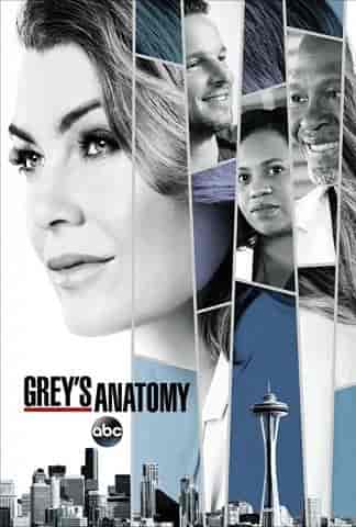 مسلسل Grey's Anatomy الموسم الرابع عشر الحلقة 21