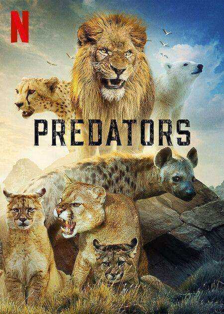 مسلسل Predators الموسم الاول الحلقة 5 الخامسة