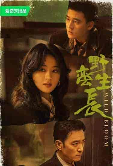 مسلسل النمو الوحشي Wild Bloom الحلقة 33 مترجمة