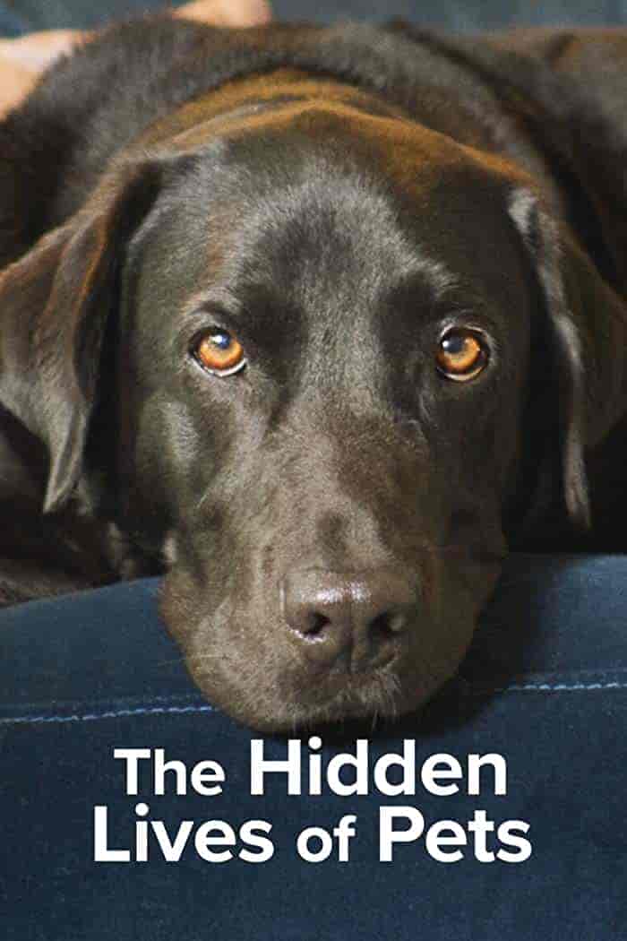 مسلسل The Hidden Lives of Pets الموسم الاول الحلقة 1 مترجمة