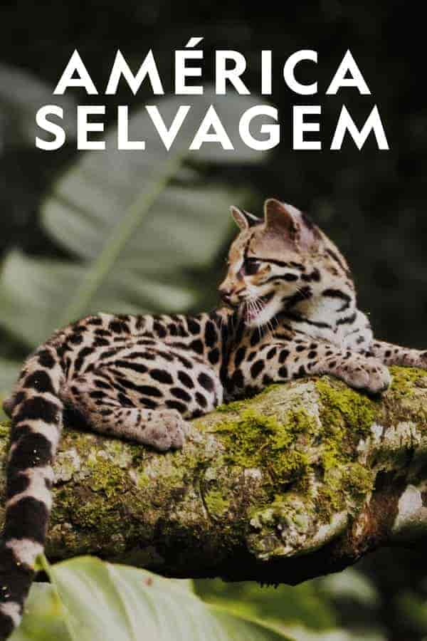 مسلسل Wild Latam الموسم الاول الحلقة 8 الثامنة مترجمة
