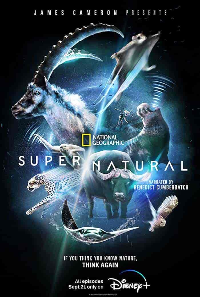 مسلسل Super Natural الموسم الاول الحلقة 2 الثانية مترجمة